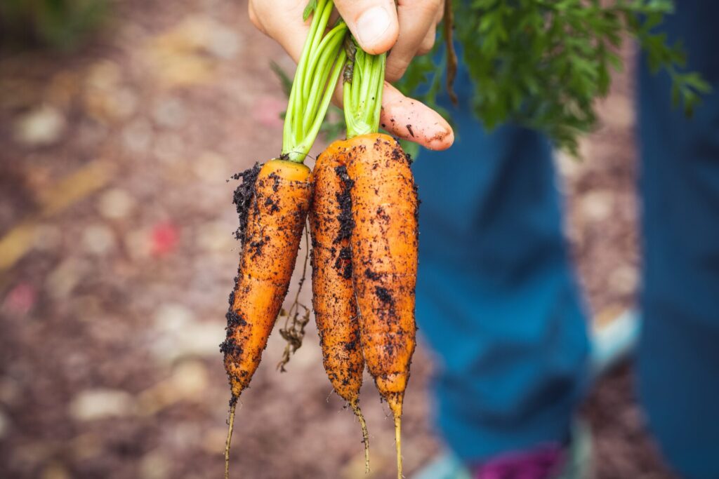 Organic agriculture