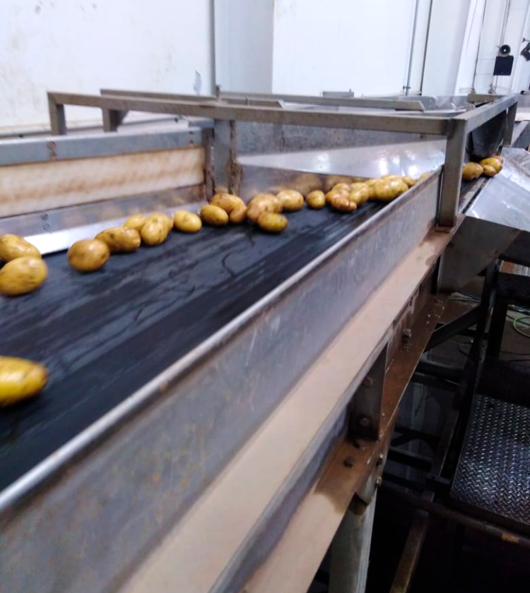 Potato washing