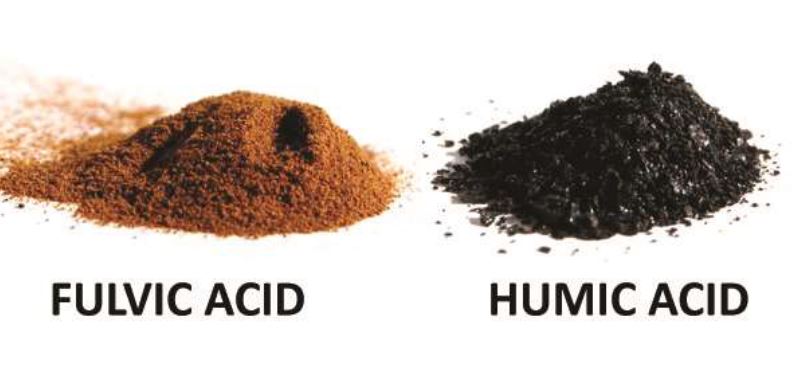 Humic and fulvic acids