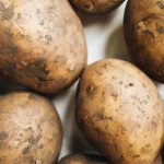 Effects of not controlling relative humidity in room environments for potato storage.