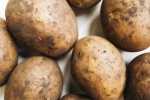 Effects of not controlling relative humidity in room environments for potato storage.