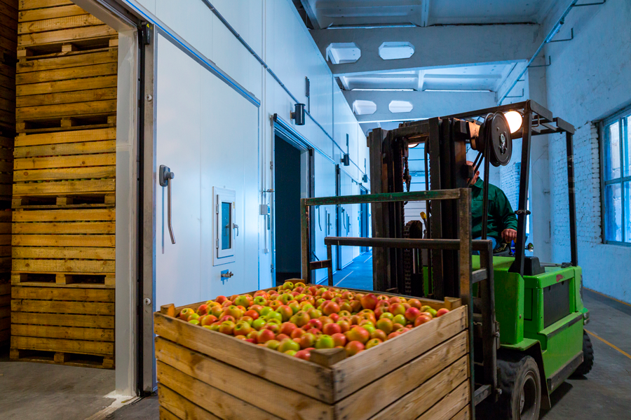 post harvest treatment of apples