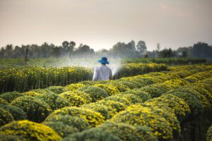 The quality of irrigation water