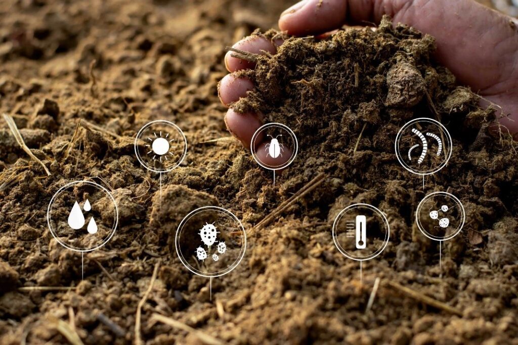 Chemical Oxigenation of the soil