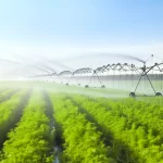 DALL·E 2024 04 26 16.28.52 A highly realistic image of a sprinkler irrigation system in a large agricultural field. The scene shows several sprinklers actively spraying water in