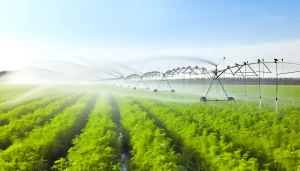 DALL·E 2024 04 26 16.28.52 A highly realistic image of a sprinkler irrigation system in a large agricultural field. The scene shows several sprinklers actively spraying water in