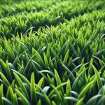 DALL·E 2024 08 13 17.29.08 A close up, detailed image of perfectly maintained grass. The blades of grass are vibrant green, evenly cut, and dense, with a smooth, uniform texture