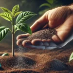 DALL·E 2024 08 14 13.00.34 A highly realistic image of a hand gently releasing granular fertilizer onto the soil around a small avocado plant. The hand is close to the camera, w