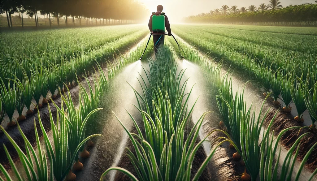 DALL·E 2024 08 19 11.46.51 A highly realistic 16 9 image illustrating foliar fertilization in an onion field. The scene shows a close up of onion plants with a farmer applying f