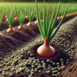 DALL·E 2024 08 19 12.12.58 A highly realistic 16 9 image of a young onion plant growing in well tended soil. The plant has slender, green leaves just beginning to emerge from th