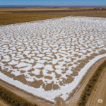 Suelo agrícola salino-sódico con costra blanca de sales y grietas profundas en clima árido