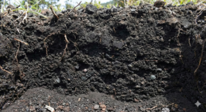 Gemini Generated Image cp7gwccp7gwccp7g